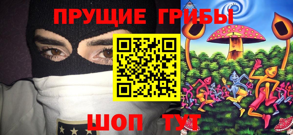 Зерноград  Галлюциногенные грибы ЛСД  Вход с VPN 