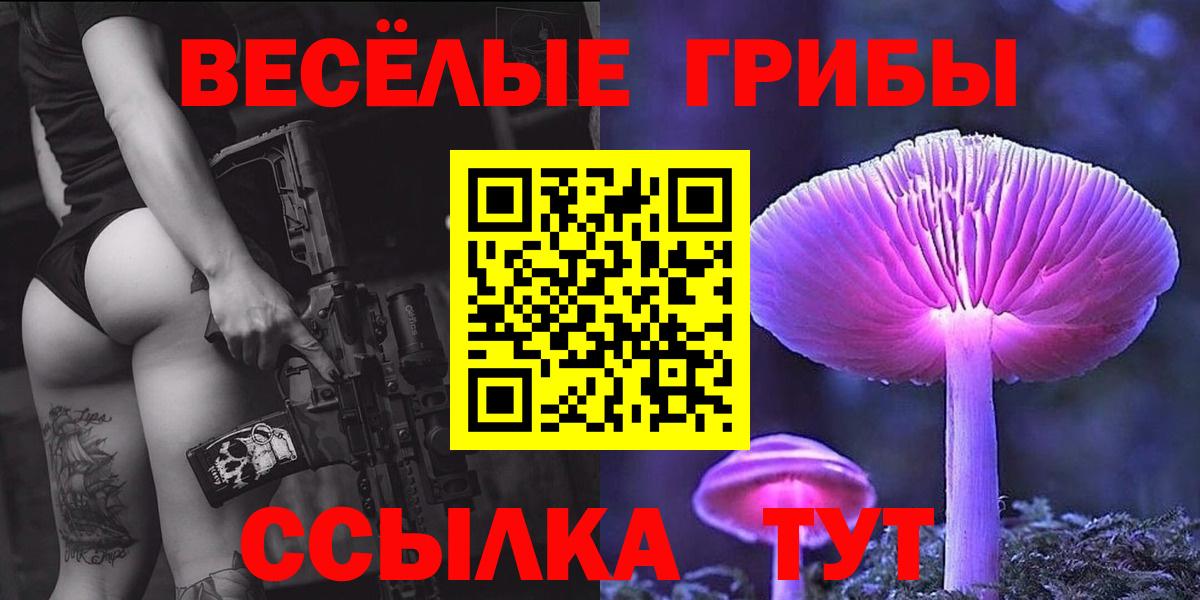Галлюциногенные грибы Cubensis Зерноград